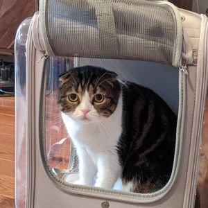 Meet your Posher, Kim